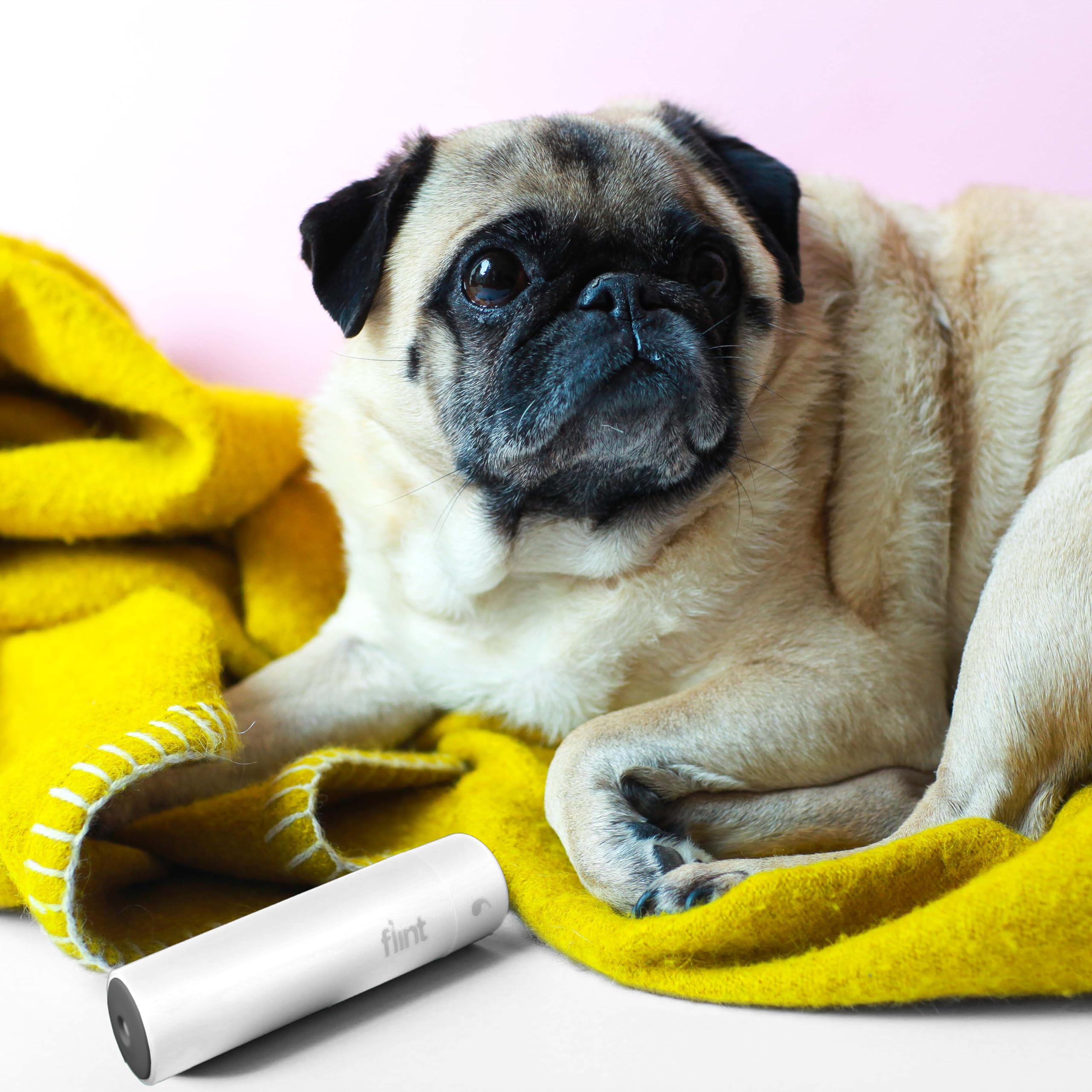 The 10 best lint rollers in 2025